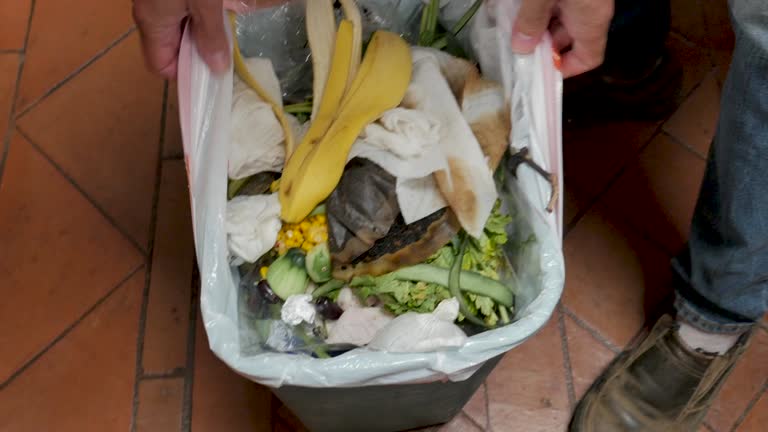 Best Carpet Removal and Disposal  in Girard, OH